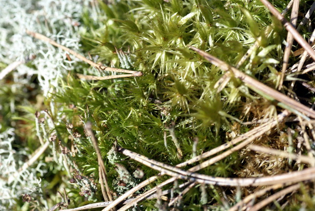 DSC04409
