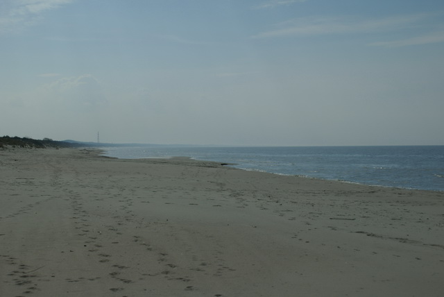 DSC04498