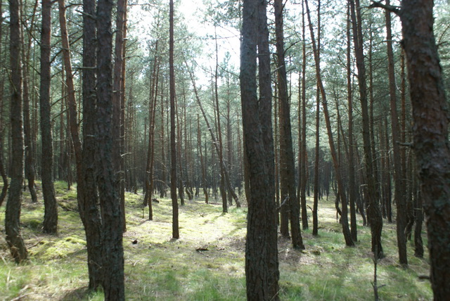 DSC04530