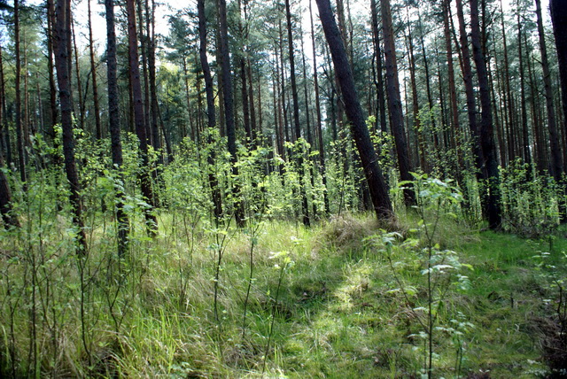 DSC04547