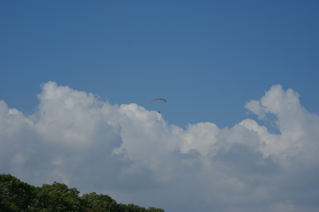 DSC01774