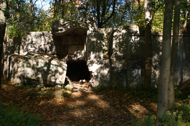 DSC04916
